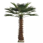 3m het Decorvlam van de Kanarie Valse Palm - vertragersmaterialen