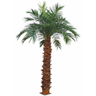 3m het Decorvlam van de Kanarie Valse Palm - vertragersmaterialen
