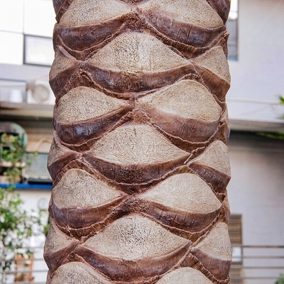 De kunstmatige van de de Glasvezelboom van de Kokosnotenpalm van het de Wandelgalerijstrand Openluchtbomen