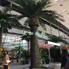 In het groot anti-Uv Anti-Fading Openlucht Grote de Installatie Kunstmatige Palm van de Zwembaddecoratie