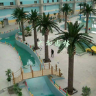 In het groot anti-Uv Anti-Fading Openlucht Grote de Installatie Kunstmatige Palm van de Zwembaddecoratie