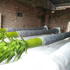 Van de Fabrikantencanada artificial palm van Amazonië Professionele de Boombladeren Openlucht voor Huisdecor
