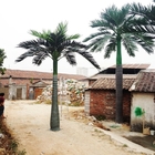 Naar maat gemaakte 6.3m Hoogte Decoratieve Kunstmatige Cubaanse Koninklijke Koning Palm Small Tree