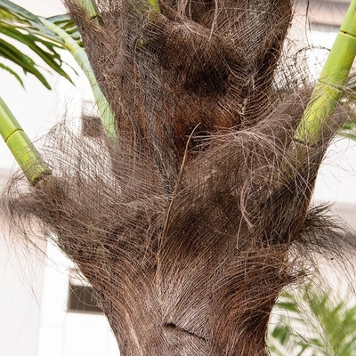 Kerstmis 5m Kunstmatige Palm met het Decor van het Lichtenlandschap