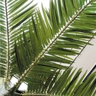 Anti Langzaam verdwijnende van de de Palmenzijde van 10m Kunstmatige de Doek Lange Valse Palmen