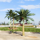 Barhi verlaat 4m Openlucht Kunstmatige Palmen voor Zwembad