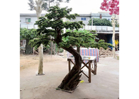 1m Kunstmatige Binnen Podocarpus Boom, Geen Schadelijk Kunstmatig Cedar Bonsai Tree