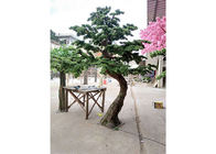 1m Kunstmatige Binnen Podocarpus Boom, Geen Schadelijk Kunstmatig Cedar Bonsai Tree